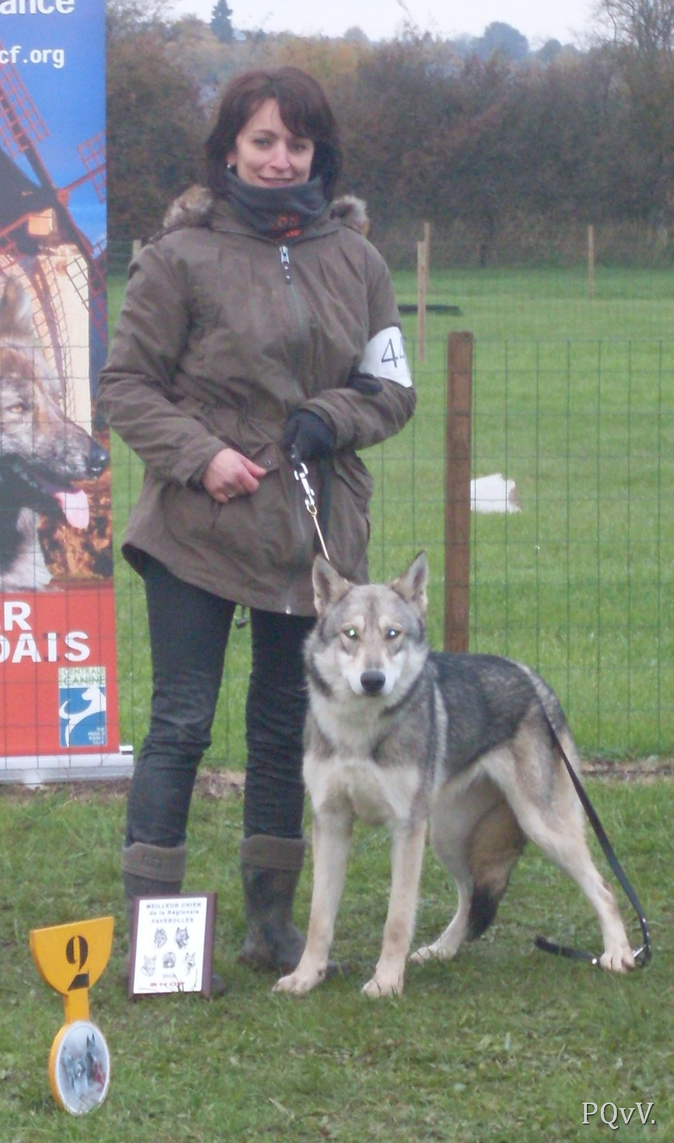  Gimini Criquette d’Angeli Fee, meilleur chien de l’exposition